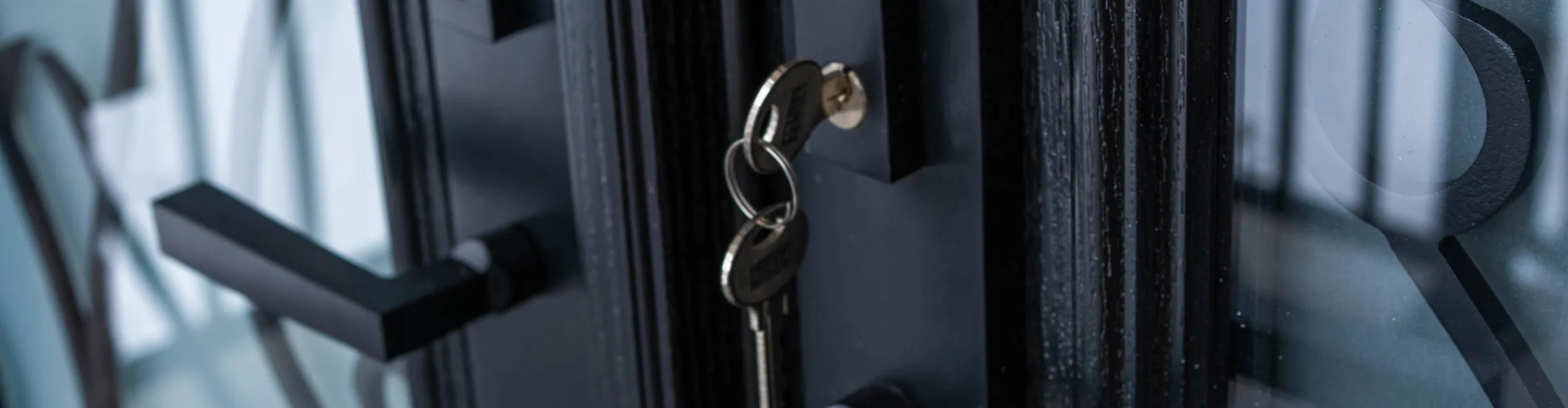 steel doors by luma