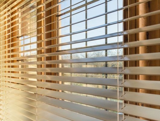 Blinds french door