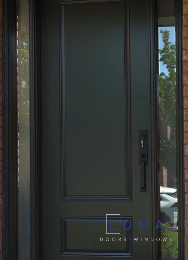 modern black steel door with sidelites