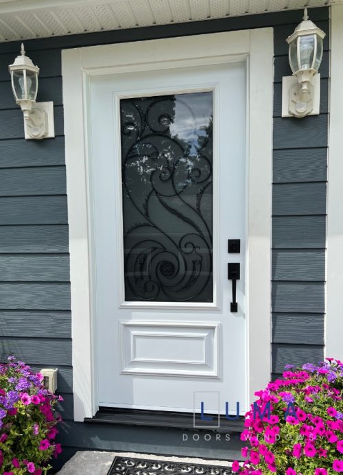 White steel entry door with glass