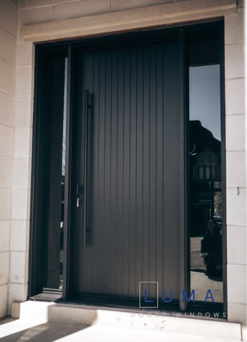 stylish steel single entry door glass panels