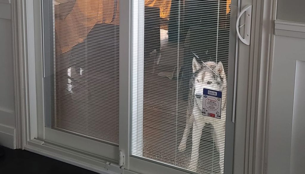sliding patio door repair vs replacement